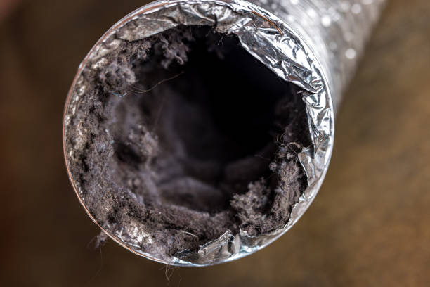 Best Dryer Vent Cleaning Services  in Ardmore, TN